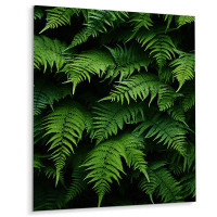 Gracie Oaks Ferns Plant Verdant Abundance I - Floral & Botanical Metal Wall Art