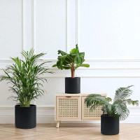Latitude Run® Lieschen 3 - Piece Plastic Pot Planter
