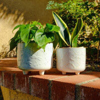 Wade Logan Petoskey 2- Piece Ceramic Pot Planter