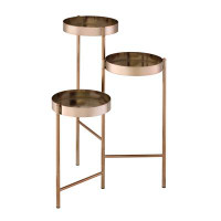 Everly Quinn Wanona Gold Plant Stand With 3 Open Storage Compartment