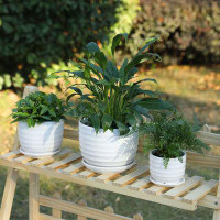 Ebern Designs Indoor / Outdoor Garden Planter Pots 3 Piece