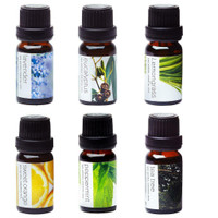 NEW AROMATHERAPY OIL 6 PACK SET ESSENTIAL OILS 1219AO