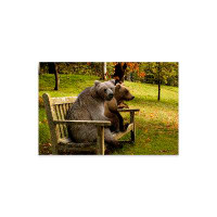 Millwood Pines Bears sitting on a bench Print On Acrylic Glass