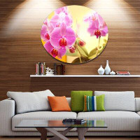 Made in Canada - Design Art 'Blooming Purple Orchid Flowers' Photographic Print on Metal