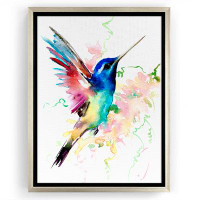 Winston Porter Rainbow Hummingbird Framed On Canvas Print