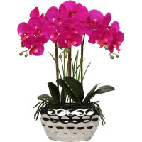Primrue Pots Real Touch Faux Orchid Plant For Home Office Bathroom Living Room Wedding Decoration,