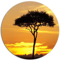 Design Art 'Beautiful Sunset Through Acacia Tree' Photographic Print on Metal