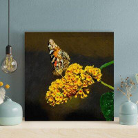 Rosalind Wheeler Brown And Orange Butterfly Perched On Yellow Lantana Flowers - Wrapped Canvas Painting