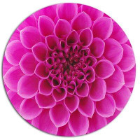 Design Art 'Pink Flower and Petals' Photographic Print on Metal