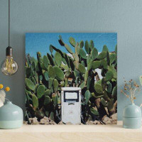 Foundry Select White Gasoline Pump Machine Surrounded By Cactus Plants - 1 Piece Square Graphic Art Print On Wrapped Can