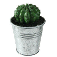 Northlight Seasonal 3.5" Tropical Mini Artificial Cactus with Tin Pot