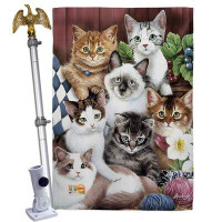 Breeze Decor Cuddly Kittens - Impressions Decorative Aluminum Pole & Bracket House Flag Set HS110069-BO-02