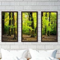Made in Canada - Picture Perfect International Bright Summer Forest I - 3 Piece Picture Frame Photograph Print Set on Ac
