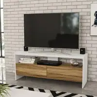 Latitude Run® Alajiah TV Stand for TVs up to 60"