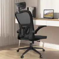 Latitude Run® Office Chair Computer Desk Chair Flip up Arms Adjustable Lumbar Support Mesh High Back Black Chair