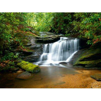 East Urban Home Rock Waterfall Mountain River in the Forest 11.8' L x 106" W Wall Mural