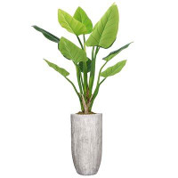 Vintage Home Buchanan 74" Artificial Philodendron Plant in Planter
