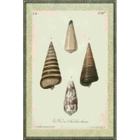 Rosecliff Heights Bookplate Shells VI