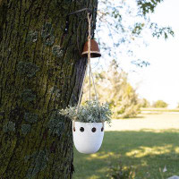 Ebern Designs Hidefumi Handmade Hanging Planter