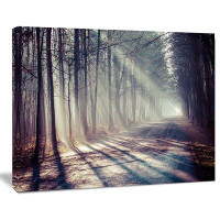 Design Art Morning Sunbeams to Forest Road - Wrapped Canvas Photograph Print