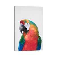 East Urban Home Parrot - Wrapped Canvas Print