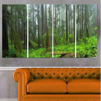 Made in Canada - Design Art 'Hoh Rain Forest' 4 Piece Wrapped Canvas Photograph Set on Canvas