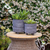 Bungalow Rose Joenell Ceramic Pot Planter