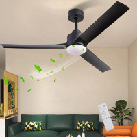 Ivy Bronx Idal Ceiling Fan with LED Lights
