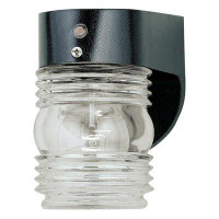 Breakwater Bay One-Light Outdoor Jelly Jar Wall Fixture with Dusk to Dawn Sensor, Black Finish