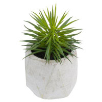Northlight Seasonal 5.5" Potted Artificial Succulent In Cement Pot