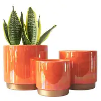 Latitude Run® Ceramic Plant Pots with Drainage Holes Set of 3