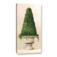 Canora Grey Florentine Topiary II Gallery Wrapped Floater-Framed Canvas