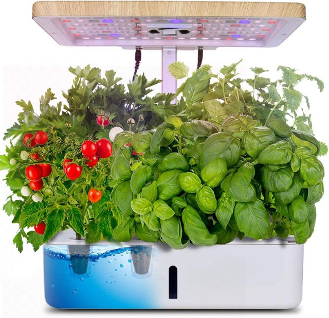 Special PROMO* Moistenland Hydroponics Growing System,Indoor Garden,Herb Garden Indoor | FAST, FREE Delivery in Other - Image 2
