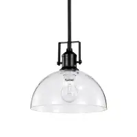 Breakwater Bay 1-light Black Farmhouse Pendant Ceiling Fixture With Clear Glass Shade