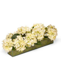 T&C Floral Company Fresh Cut Hydrangea Centerpiece in Planter