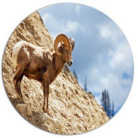 Design Art 'Single Goat on Rocky Mountain' Photographic Print on Metal
