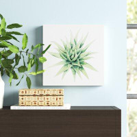 Winston Porter 'Tropical Plant III' Wrapped Canvas Print on Canvas