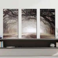 Millwood Pines "Timeless Plantation Drive (Horizontal)" by Danita Delimont 3 Piece Print on Canvas