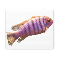 Rosecliff Heights Purple Fish Stretched Canvas