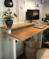 Standing Desk Height Adjustable Computer Desks Office Table Wood Metal