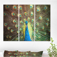 Made in Canada - East Urban Home 'Colourful Portrait of peacock' Animals photography Print on Wrapped Canvas set - 36x28