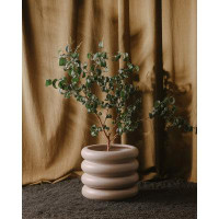 Joss & Main Bretta Ceramic Pot Planter