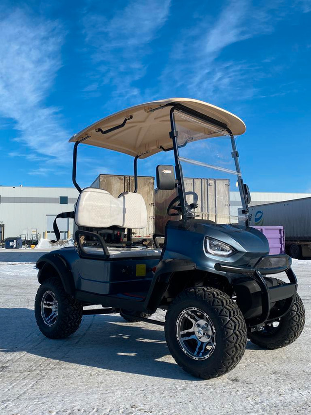 NEW 2 SEATER ELECTRIC GOLF CART 1DYG11 in Other in Alberta