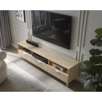 Brayden Studio LED TV Stand Entertainment Center with Storage Media Console Tables LED TV Cabinet for Living Room