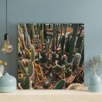 Foundry Select Green Cactus Plants On Brown Wooden Fence - 1 Piece Square Graphic Art Print On Wrapped Canvas