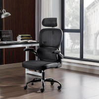 SOMEET SOMEET Ergonomic Office Chair Home Office Desk Chair with Lumbar Support High Back Mesh Office Chair Computer Des