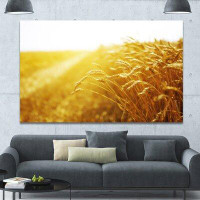 Made in Canada - Design Art 'Bright Sunset over Wheat Field' Photographic Print on Wrapped Canvas