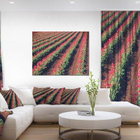 Design Art Beautiful Field of Red Tulip Flowers - Wrapped Canvas Photograph Print
