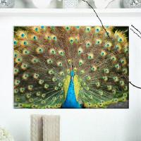 Made in Canada - East Urban Home Portrait of Peacock - Wrapped Canvas Graphic Art Print