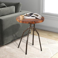 17 Stories Brighton 23'' Tall Solid Wood End Table